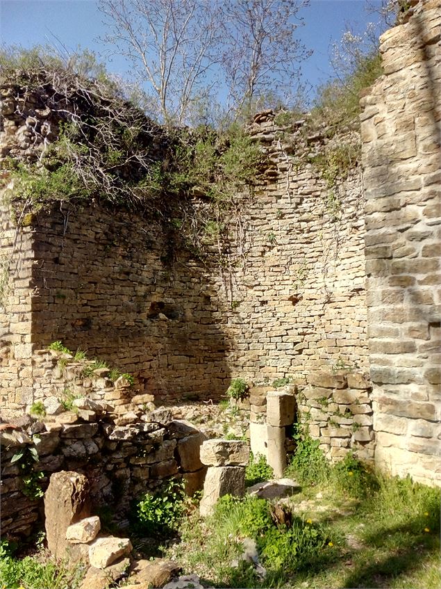 Ruines du château de St Germain - Vincent Gaullier