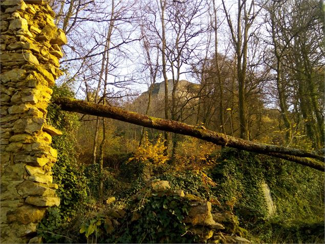 Ruines des maisons du bourg - Vincent Gaullier