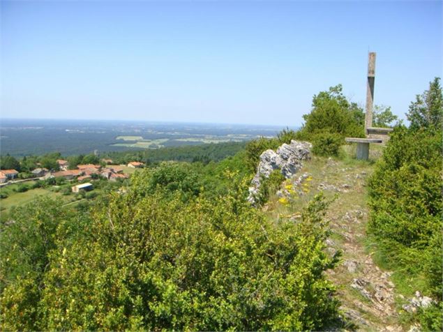 Plateau des Conches