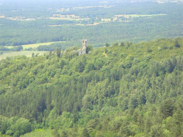 Plateau des Conches