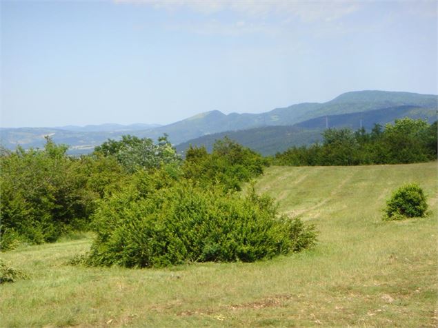 Plateau des Conches