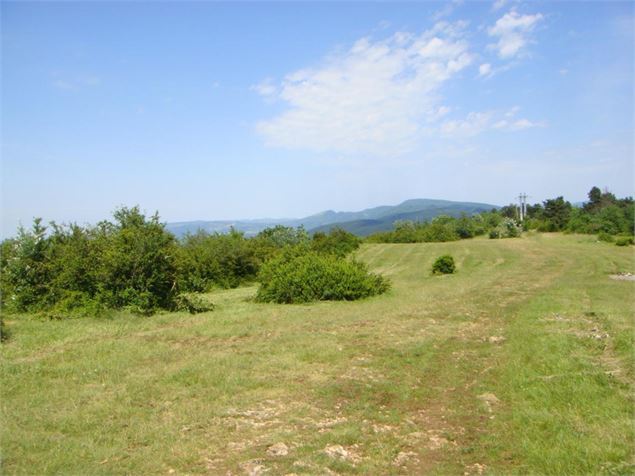 Plateau des Conches