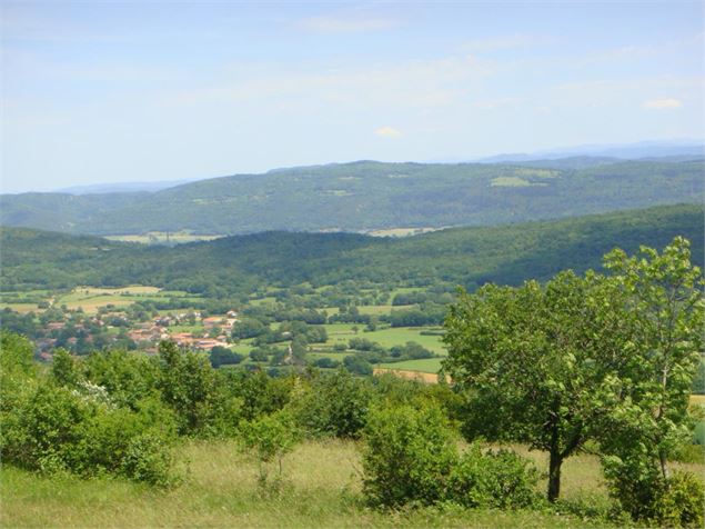 Plateau des Conches