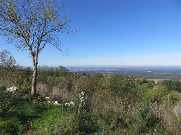 Le bassin burgien