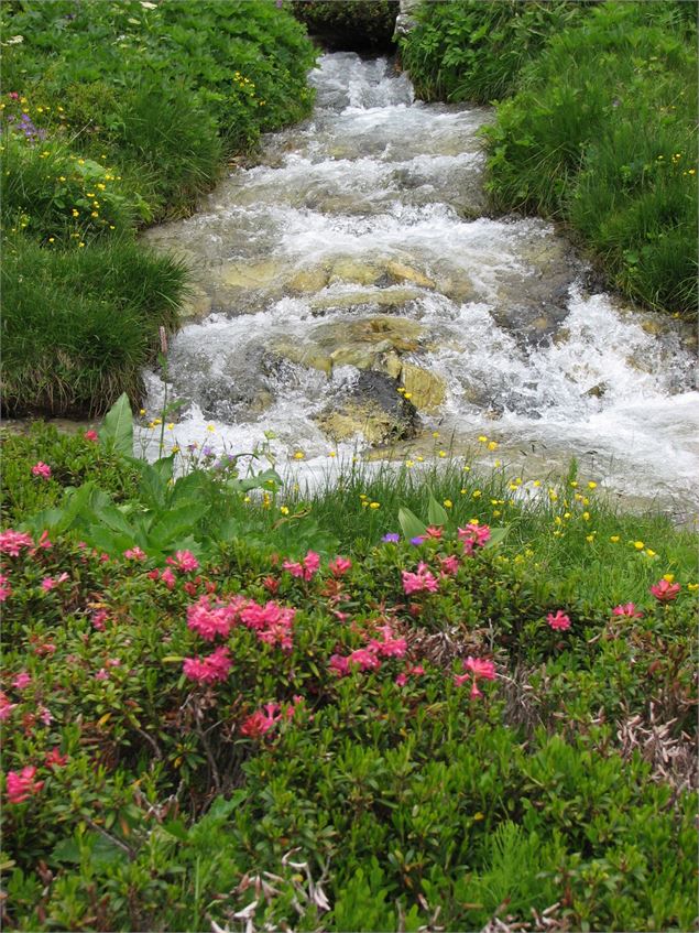 Ruisseau dans le vallon de l'Orgère à Villarodin-Le Bourget - O.T. La Norma VLP