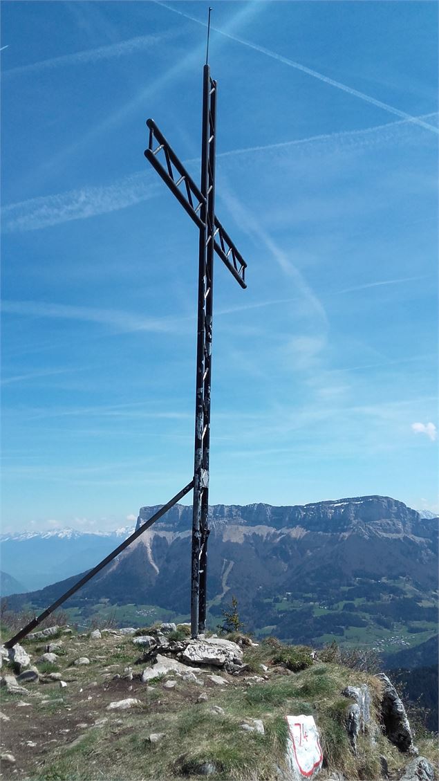 Croix de la Pointe de la Cochette - E. Janin