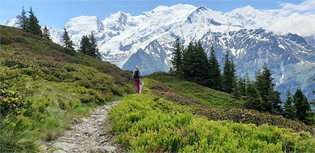 Randonneur à Chailloux - OT Vallée de Chamonix C.Margérard