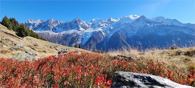 L'automne à Chailloux - OT Vallée de Chamonix C.Margérard