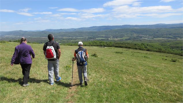 Mont Turgon - Pelouse sèche du Revermont