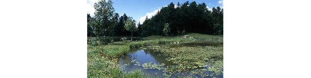 Village de Brenod - G. Brevet / Aintourisme