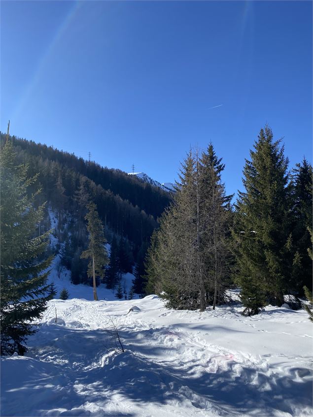 La Tzoumaz - Savoleyres (N°3)