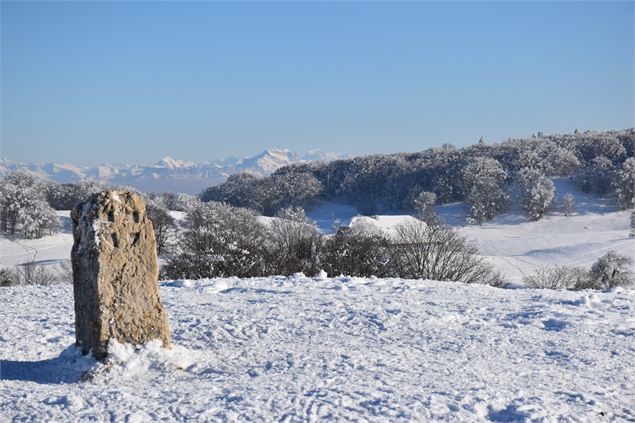 Borne de Savoie sur le Plateau de Retord - © Philippe Carrara