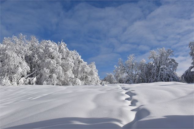 Combes enneigées du Plateau de Retord - © Philippe Carrara