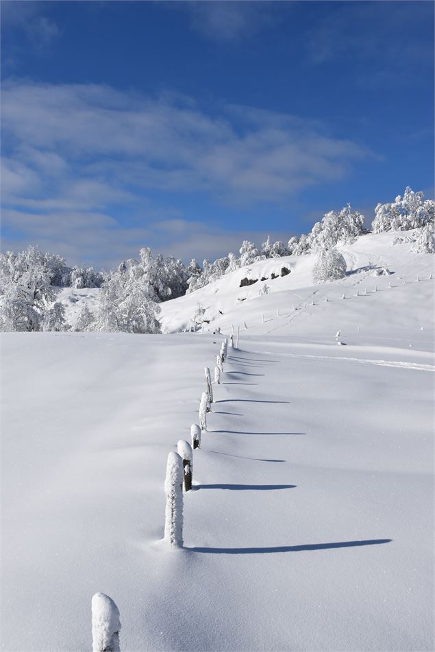 Les Solives sur le Plateau de Retord - © Philippe Carrara