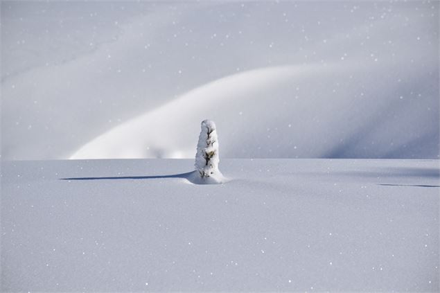 Les Solives sur le Plateau de Retord - © Philippe Carrara