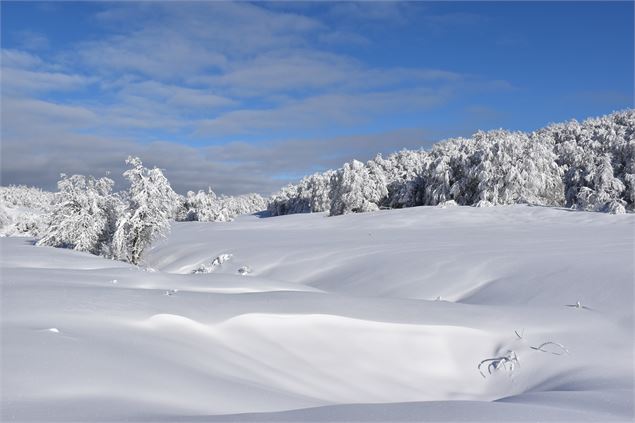 Les Solives sur le Plateau de Retord - © Philippe Carrara