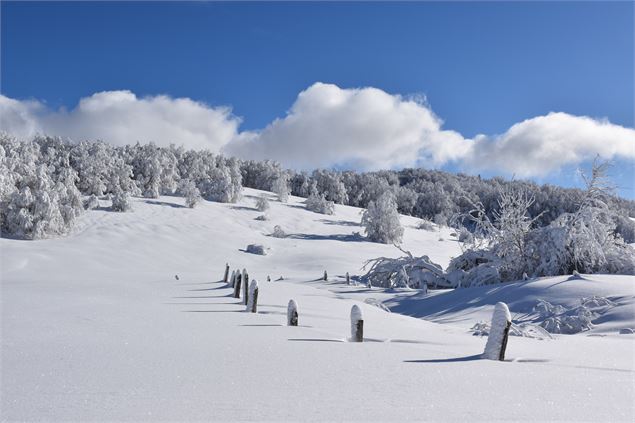 Les Solives sur le Plateau de Retord - © Philippe Carrara