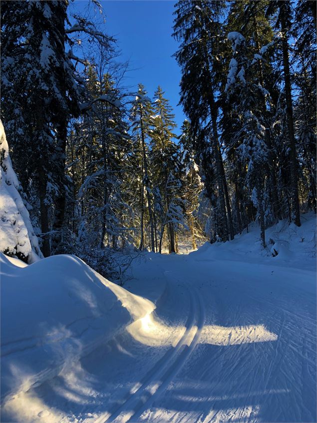 Piste de ski de fond de Lachat - Maxime Ballet