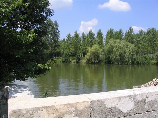 Rivière la Reyssouze - La route des trois moulins