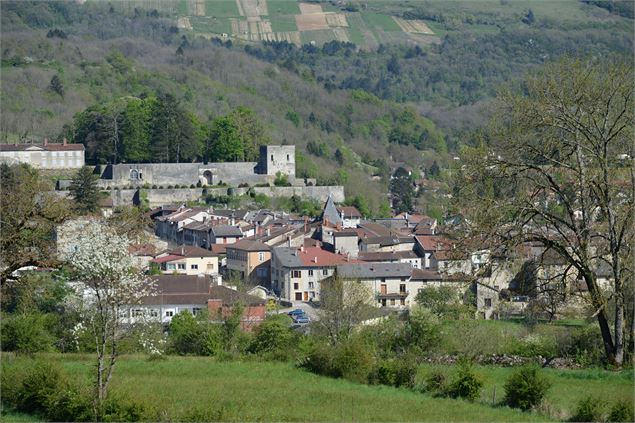 Panorama sur Poncin - JF Basset