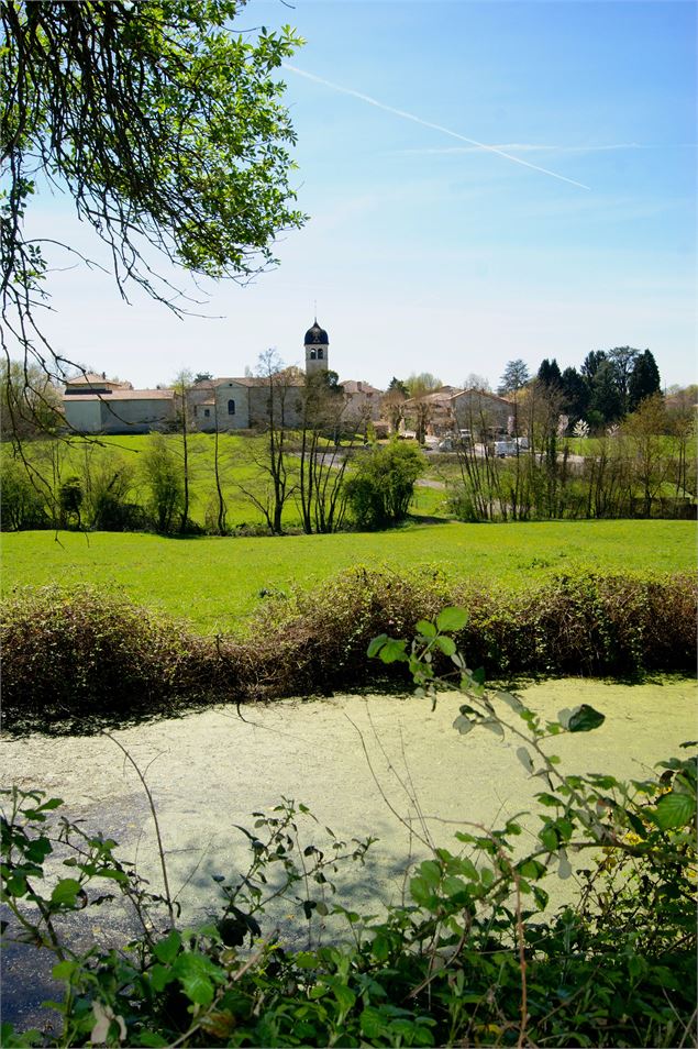 Circuit de la Chapelle d'Amareins à la Saône