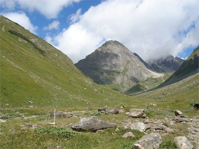 Vallon de foran la vallée de la Plagne - Marie Louise Plassiard