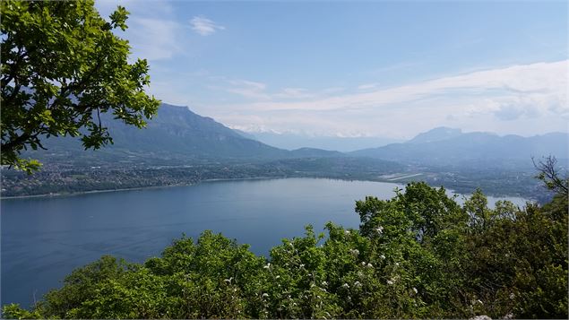RandonnéeAixlesBainsRivieradesAlpesSentierduChatCastor - ©SavoieMontBlanc-Martelet