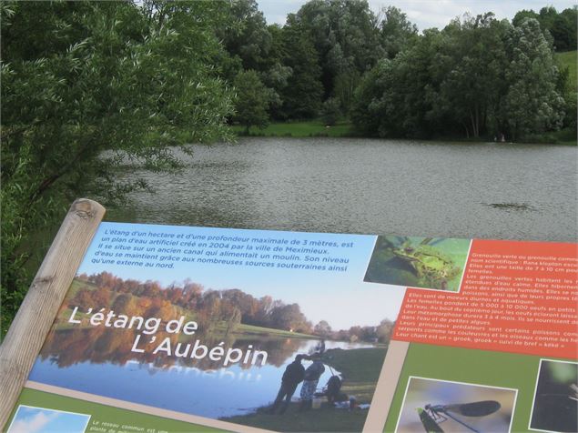 Etang de l'Aubépin et son parcours de santé - Philippe Danné