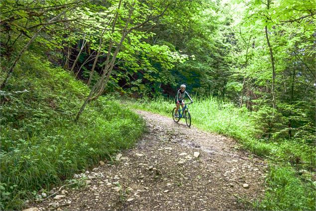 Circuit VTT Aillons Margériaz 1000 - Lac de la Thuile - École de VTT La Féclaz - Massif des Bauges