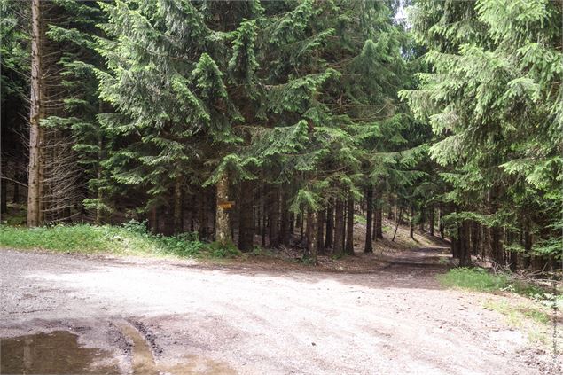 Circuit VTT Aillons Margériaz 1000 - Lac de la Thuile - École de VTT La Féclaz - Massif des Bauges
