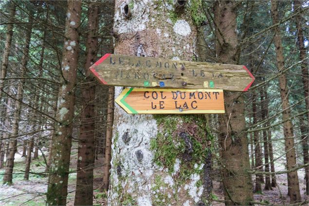 Circuit VTT Aillons Margériaz 1000 - Lac de la Thuile - École de VTT La Féclaz - Massif des Bauges