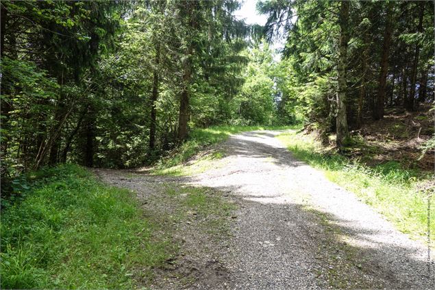 Circuit VTT Aillons Margériaz 1000 - Lac de la Thuile - École de VTT La Féclaz - Massif des Bauges