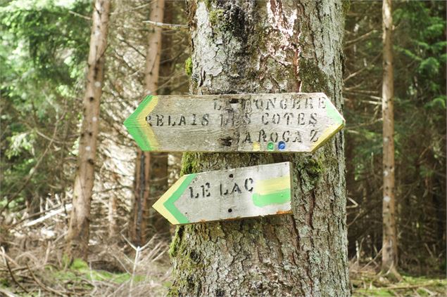 Circuit VTT Aillons Margériaz 1000 - Lac de la Thuile - École de VTT La Féclaz - Massif des Bauges
