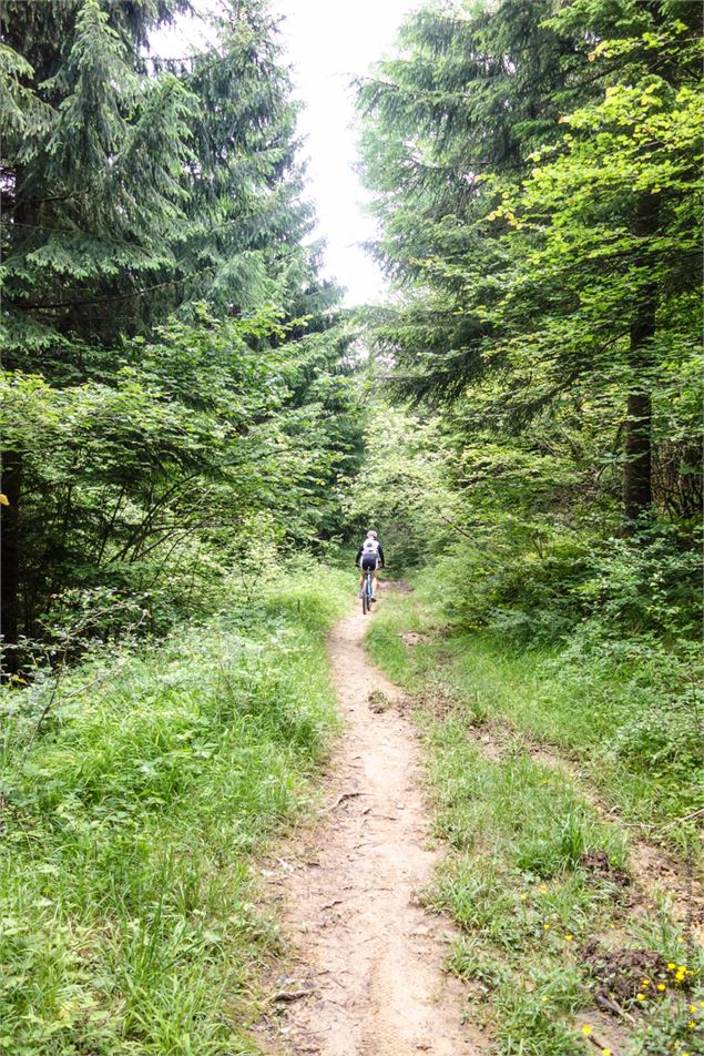 Circuit VTT Aillons Margériaz 1000 - Lac de la Thuile - École de VTT La Féclaz - Massif des Bauges