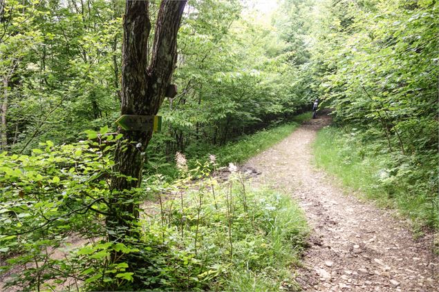 Circuit VTT Aillons Margériaz 1000 - Lac de la Thuile - École de VTT La Féclaz - Massif des Bauges