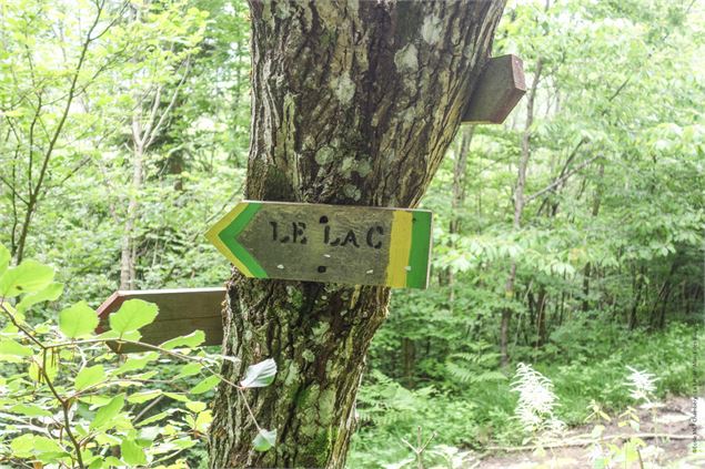 Circuit VTT Aillons Margériaz 1000 - Lac de la Thuile - École de VTT La Féclaz - Massif des Bauges