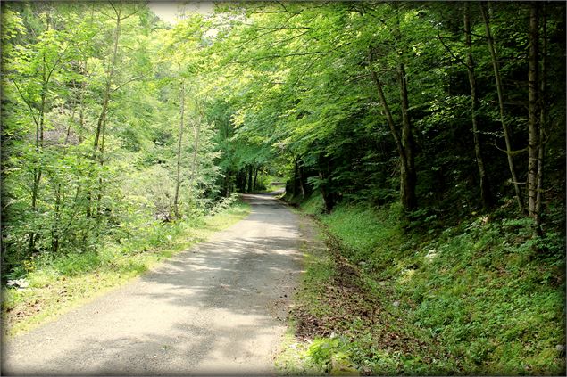Boucle de Bellevaux - école de VTT La Féclaz - Massif des Bauges