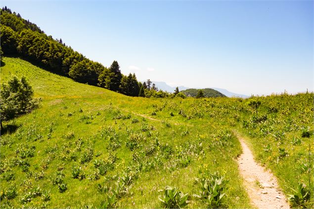 Parcours VTT AE - col de la Buffaz - école de VTT La Féclaz - Massif des Bauges