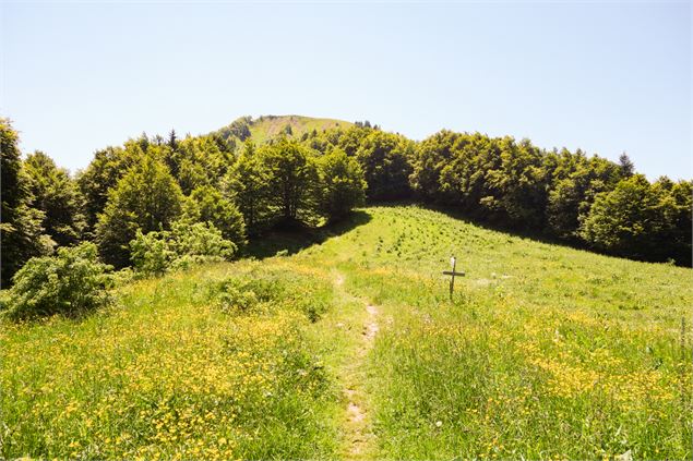 Parcours VTT AE - col de la Buffaz - école de VTT La Féclaz - Massif des Bauges