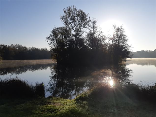 Plan d'eau de Champataule - scalland