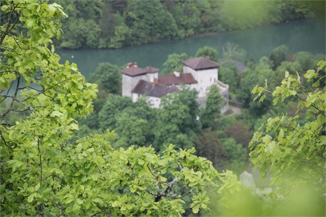 Point de vue de St Maurice d'échazeaux sur Conflans - Pierre Jayet