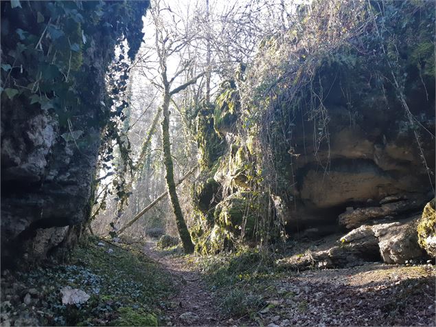 Ruines du château de Montdidier - Pierre Jayet