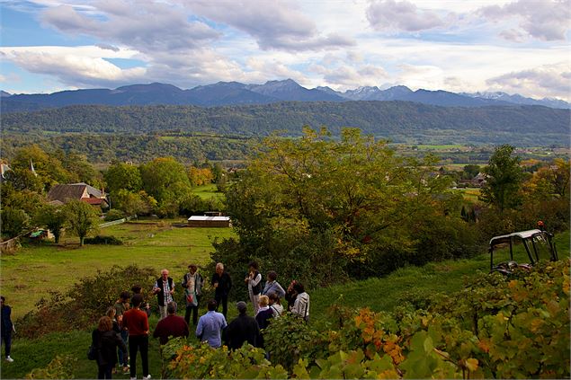 Vignobles des Marches - J.HUGOT