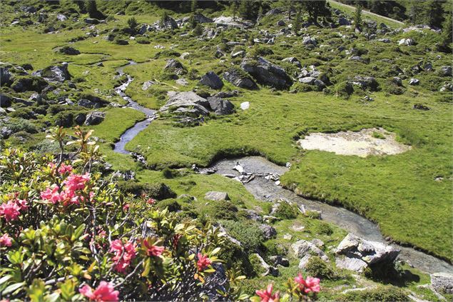 Bains de Nendaz