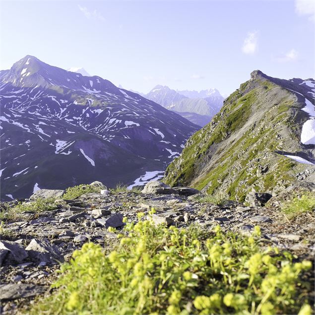 Chemin des militaires - La Rosière Tourisme