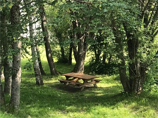 Table de pique-nique ombragée - OTI montagnicimes