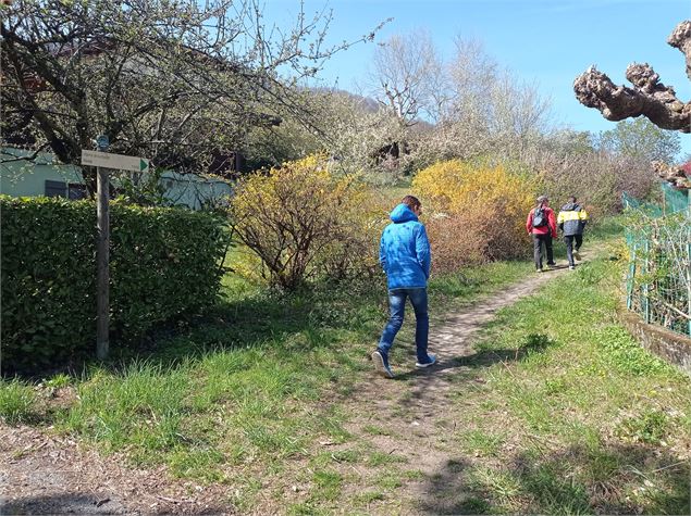 sentier pédestre : circuit des coteaux - Patrice Labarbe