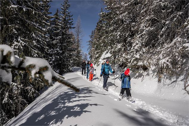 Une balade familiale en forêt - A.Abondance