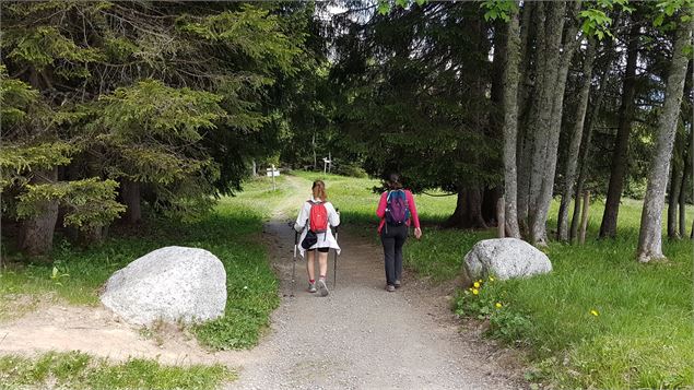 sentier pédestre : sentier forestier de Mayères