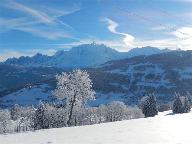Vue Mont-Blanc - Sonia Ducrey